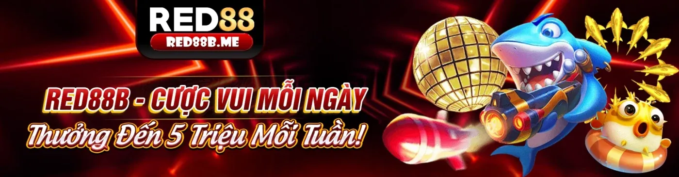 bz66 nhà cái: Tối Đa Hóa Ưu Đãi Cùng bz66 nhà cái